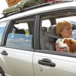 How-to-Survive-a-Car-Trip-with-Your-Pets
