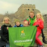 choosing-tour-company