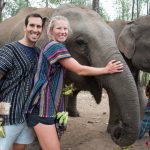Chiang Mai Elephant Sanctuary Tour