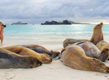 Galapagos Land-Based Tours