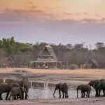 Hwange-National-Park