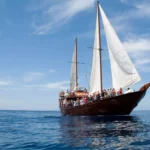 Boat-Trip-in-Tenerife