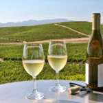 Wine-Tasting-in-Napa-Valley-Uncovering-Californias-Vineyards