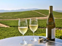 Wine-Tasting-in-Napa-Valley-Uncovering-Californias-Vineyards