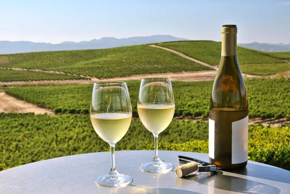 Wine Tasting in Napa Valley Uncovering California's Vineyards