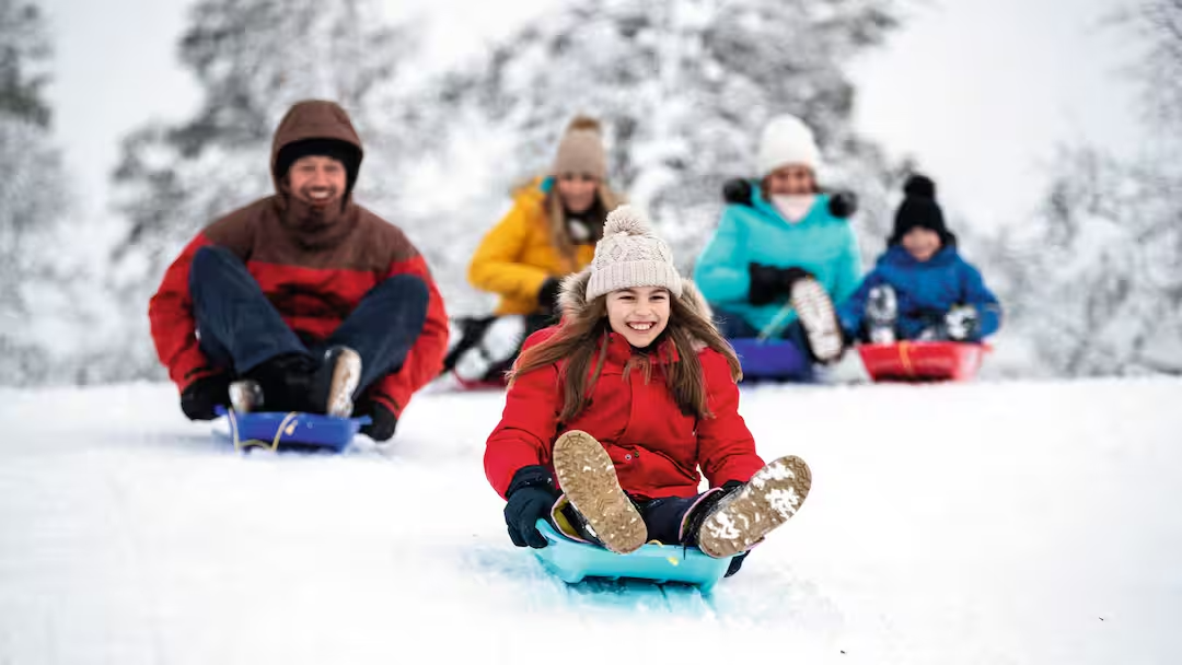 lapland day trip