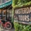 The Ultimate Guide to Amsterdam Tours: Canal Cruises, Bike Adventures & Local Experiences
