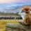 HopTraveler.com: Your Guide to Smart Travel