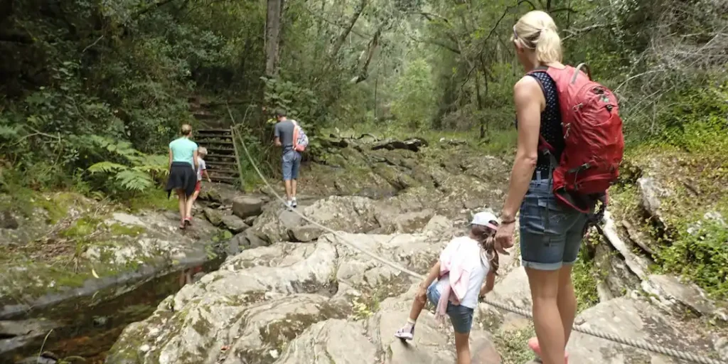 Hike Through Knysna Forest Trails Hike Through Knysna Forest Trails