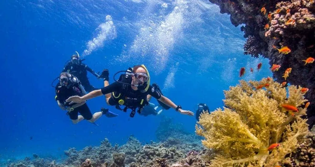 Snorkeling and Diving in the Red Sea